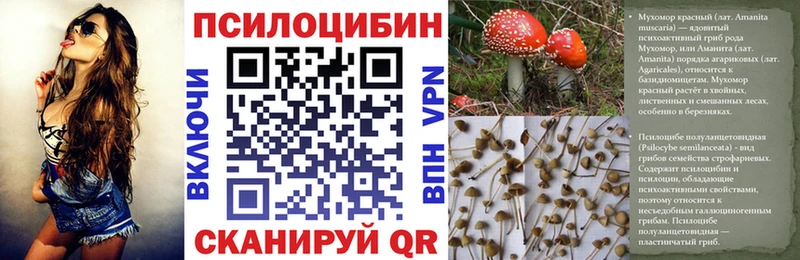 Псилоцибиновые грибы MAGIC MUSHROOMS  Купить где  Юрюзань 